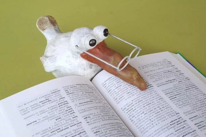 Un canard avec des lunettes au dessus d'un livre